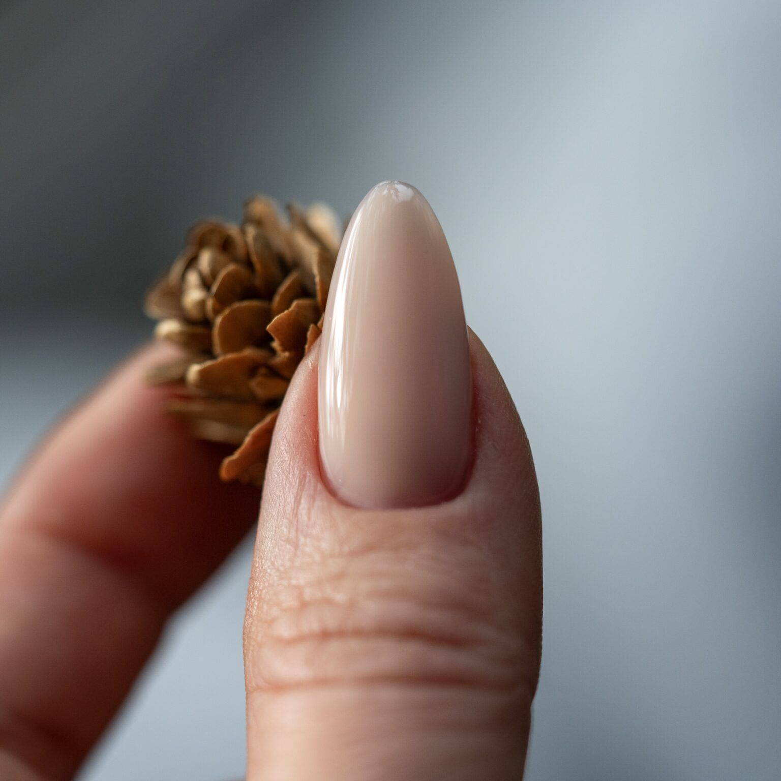 Anole Color Builder Gel 65 Dew