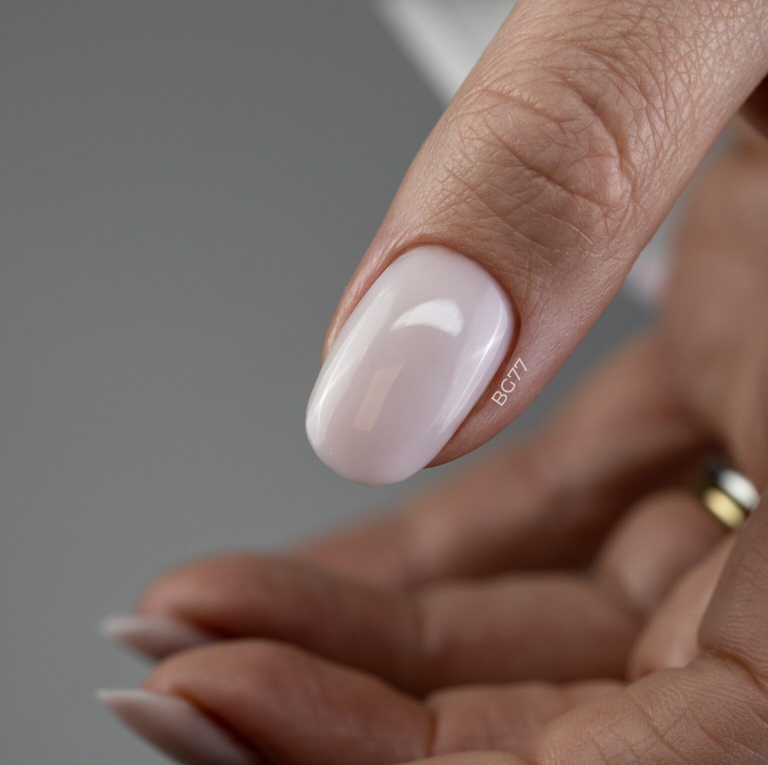 Anole Color Builder Gel 77 First Light