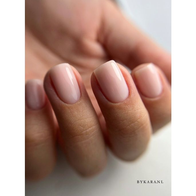 Anole Rubber Corrector 01.jpg Anole Rubber Corrector 01.png Anole Rubber Corrector 02 2.jpg Anole Rubber Corrector 02 3.jpg Anole Rubber Corrector 02.jpg Anole Rubber Corrector 02.png Anole Rubber Corrector 03.jpg Anole Rubber Corrector 03.png Anole Rubbe