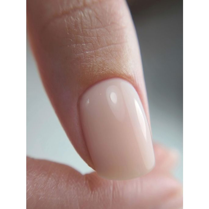 Anole Rubber Corrector 01.jpg Anole Rubber Corrector 01.png Anole Rubber Corrector 02 2.jpg Anole Rubber Corrector 02 3.jpg Anole Rubber Corrector 02.jpg Anole Rubber Corrector 02.png Anole Rubber Corrector 03.jpg Anole Rubber Corrector 03.png Anole Rubbe