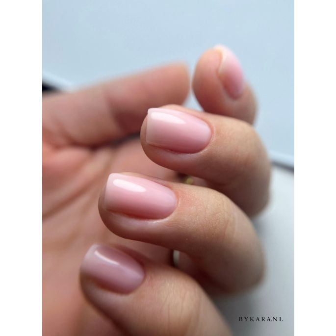 Anole Rubber Corrector 27