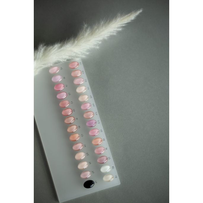 Anole Rubber Corrector 27