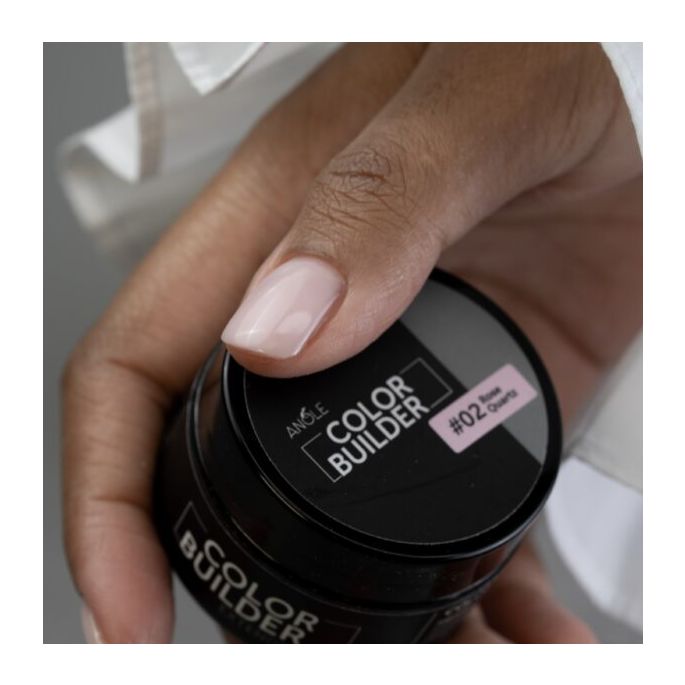 Anole Basics Startpakket