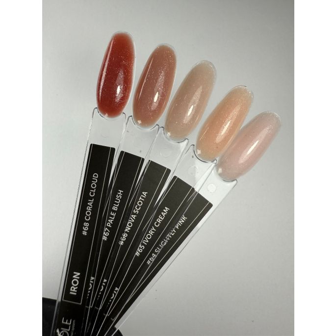 Anole Iron Builder 65