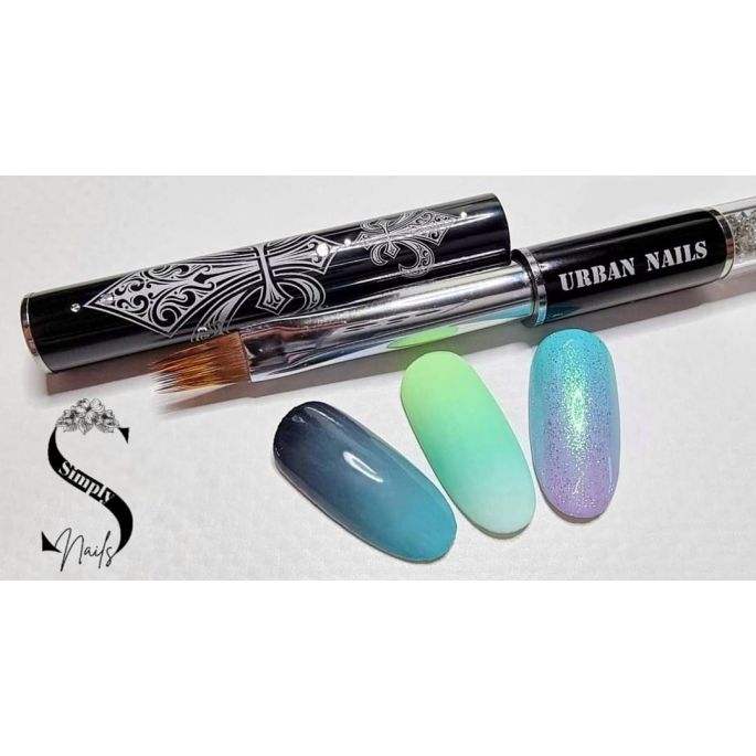 Perfect Ombre Workshop Door Iris