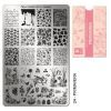 Moyra Stamping Plate 24 Primavera