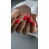  Anole Color Builder Gel 53 Red Apple