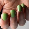  Anole Color Builder Gel 64 Green Tea