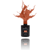  Anole Gelpolish Earthy Tones ET11 