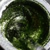 Anole Diamond Gel 06 Green