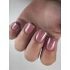 Anole Liquid Builder Gel 103 Heather Rose