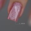 Anole Liquid Builder Gel 103