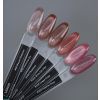 Anole Liquid builder Gel 99 Shimmer On