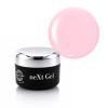 NeXt Gel Limited | Harmony