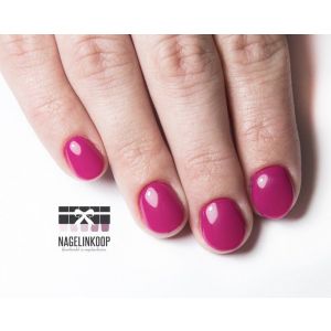 E-Manicure & Perfect Polish | Online Cursus