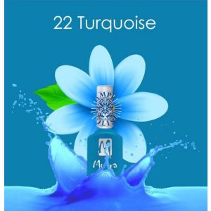 Moyra Stamping Polish SP22 Turqouise
