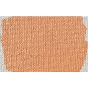 Pure Paint 04. Vlees Tint