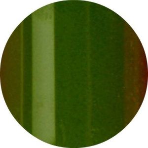 Urban Nails Color Acryl A69 Bladgroen