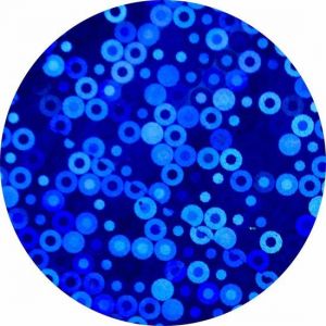 Pure Foil PF53 Blauw met rondjes