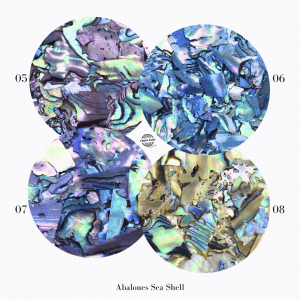 Urban Nails Abalone Sea Shell 06