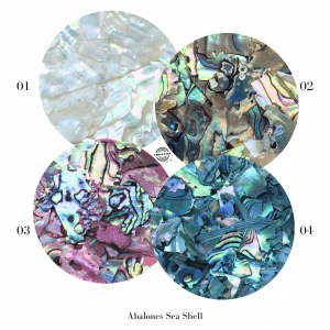 Urban Nails Abalone Sea Shell 02