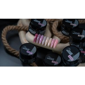 Anole Color Builder Voordeelbundel