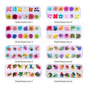 Urban Nails Dried Flowers | Box 3