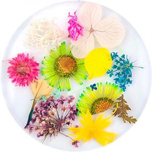 Urban Nails Dried Flowers 10