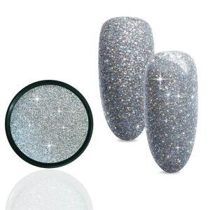 Urban Nails Reflective Holo | Silver
