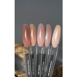 Anole Liquid Builder Gel 88 Almost Apricot
