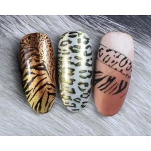 Panterprint of Leopard Print Nails